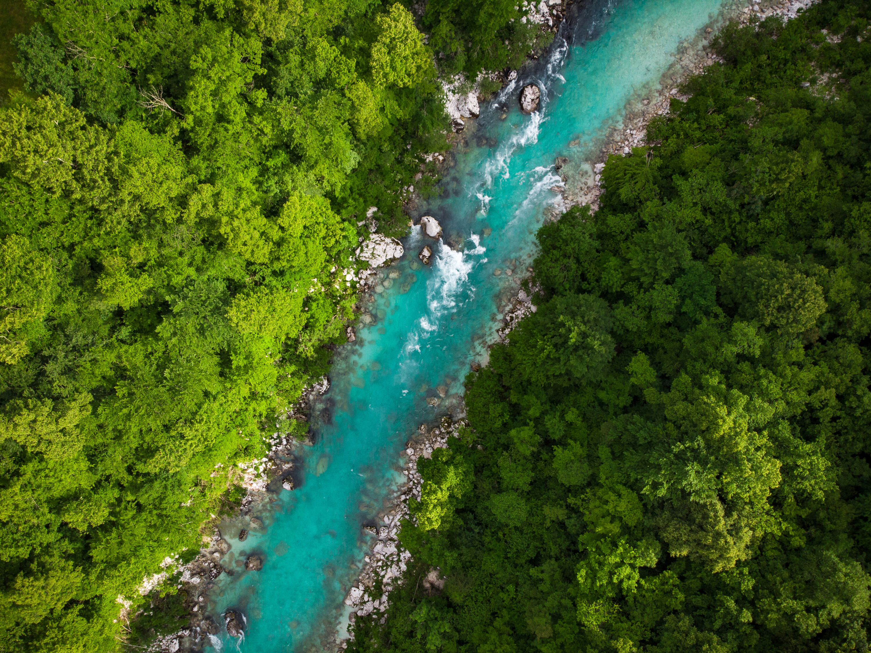 Emerald green Soca river in Slovenia, top down aerial photo.