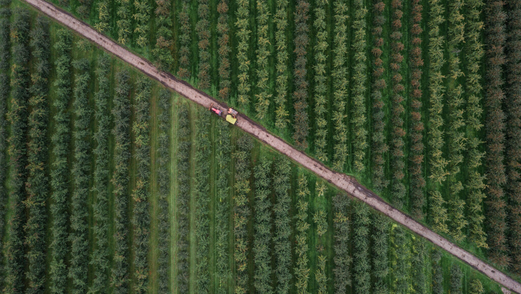 This image has an empty alt attribute; its file name is ryan-searle-7Ku54ZgKEcs-unsplash-2-1024x578.jpeg